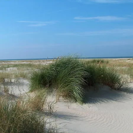 Modern Stay Near Vadehavet *