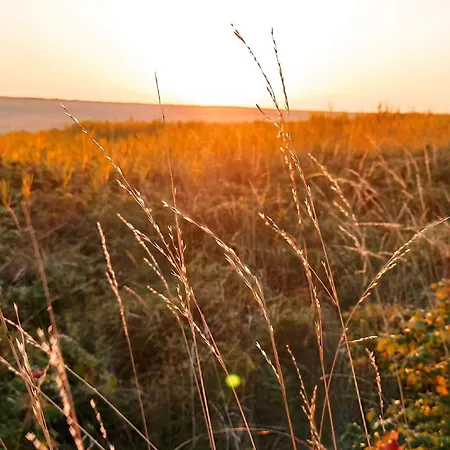 Modern Retreat Near Vadehavet - By Traum * Rømø Kirkeby
