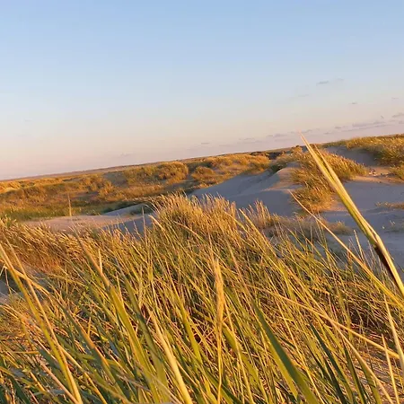 Modern Retreat Near Vadehavet - By Traum