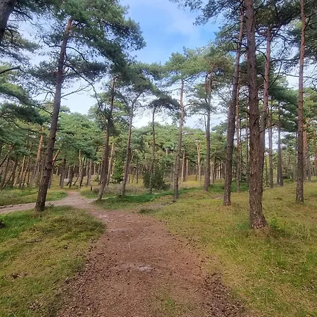 Modern Retreat Near Vadehavet - By Traum Rømø Kirkeby