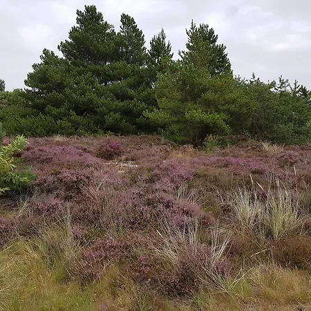 Modern Retreat Near Vadehavet - By Traum * Rømø Kirkeby