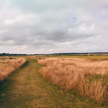 Modern Retreat Near Vadehavet - By Traum