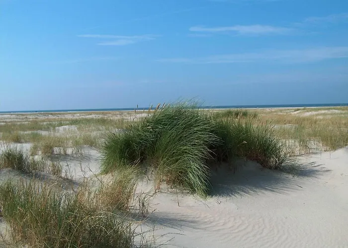 Modern Retreat Near Vadehavet - By Traum *