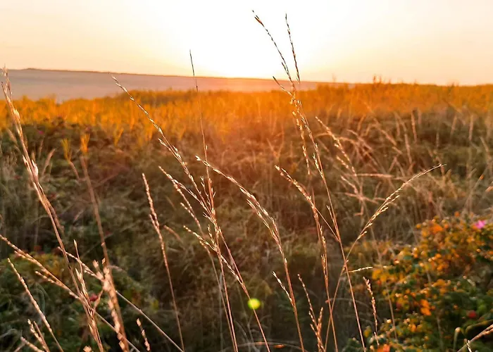 Modern Retreat Near Vadehavet - By Traum * Rømø Kirkeby