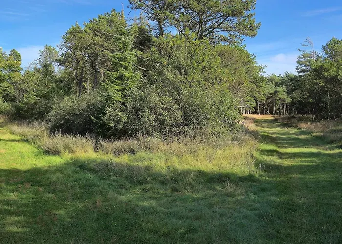 Modern Retreat Near Vadehavet - By Traum