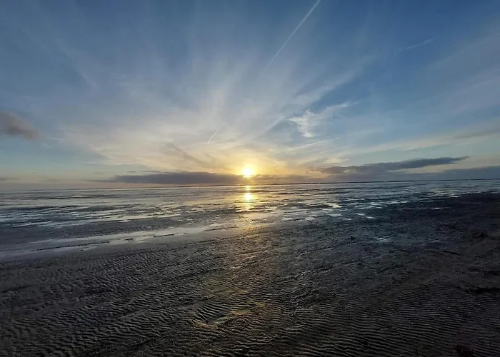 Modern Retreat Near Vadehavet - By Traum Vakantiehuis