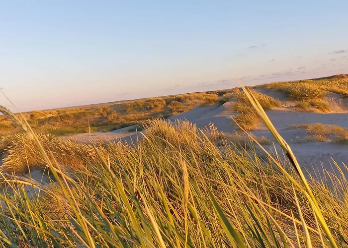 Modern Retreat Near Vadehavet - By Traum