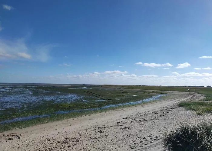 Vakantiehuis Modern Retreat Near Vadehavet - By Traum