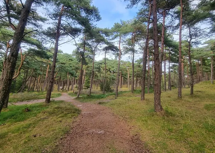 Modern Retreat Near Vadehavet - By Traum Rømø Kirkeby