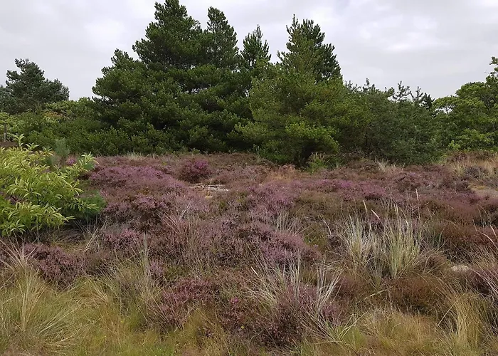Modern Retreat Near Vadehavet - By Traum * Rømø Kirkeby