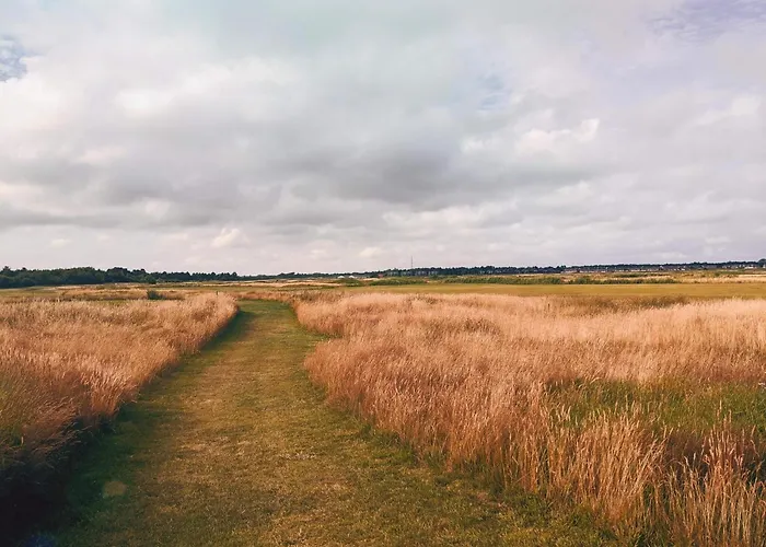 Modern Retreat Near Vadehavet - By Traum